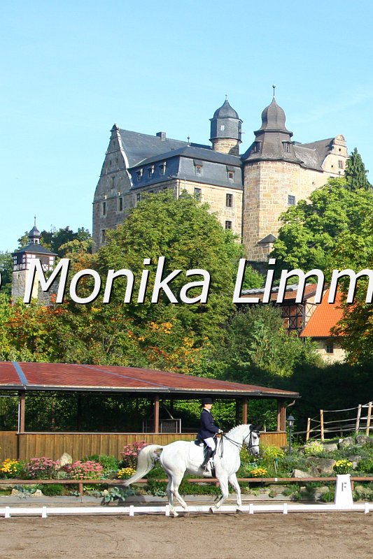 009M1461_Sam_Dressur M.JPG